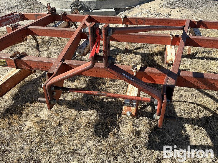 international-14-image-9