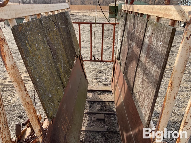 livestock-chute-image-16