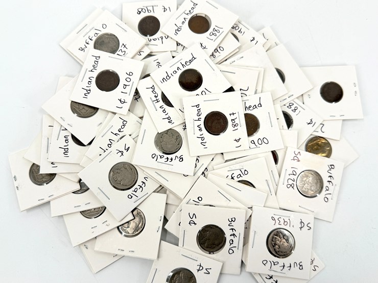 #24345-•-buffalo-head-nickles-and-indian-head-pennies-image-1