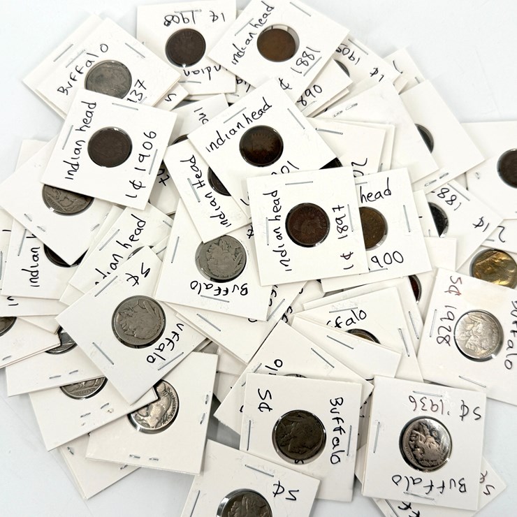 #24345 • BUFFALO HEAD NICKLES AND INDIAN HEAD PENNIES