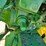 john-deere-3010-image-19
