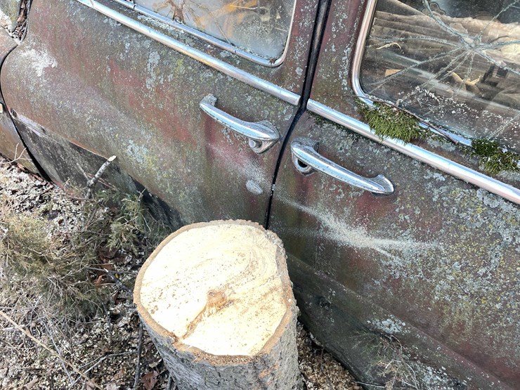 #13026-•-(1)-vintage-truck-and-(2)-vintage-cars-(no-title)-image-142