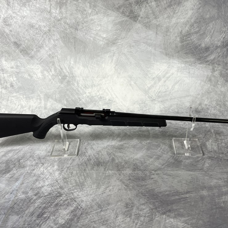 #2190 • Savage A17 .17HMR Semi Automatic Rifle, SN: J710367, (Downing, WI)