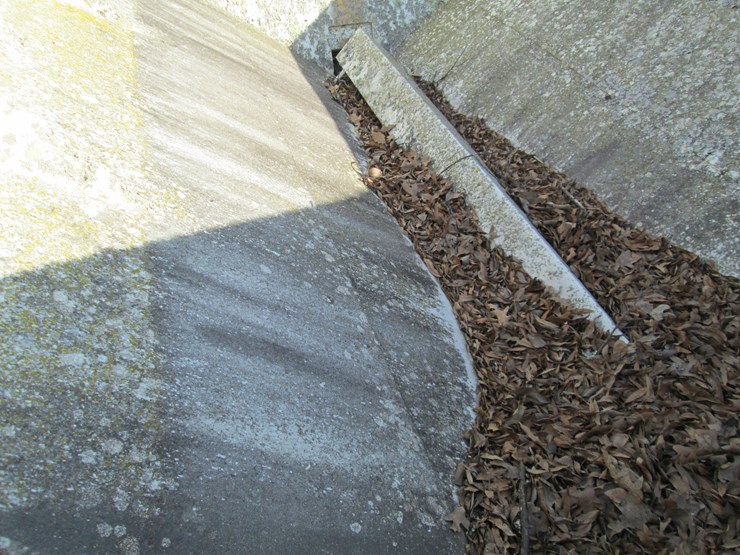 willmar-600-image-21