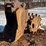 28"-excavator-tooth-bucket-and-compaction-wheel-image-5