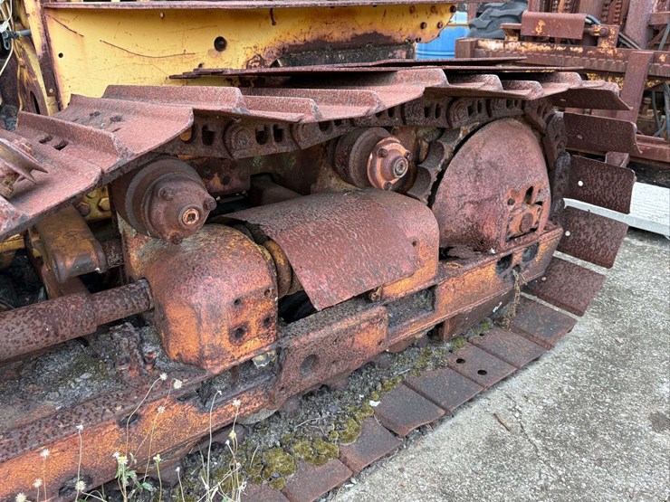 international-crawler-image-20