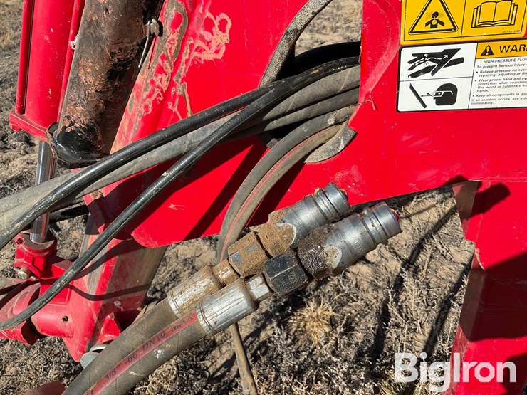 sunflower-9434-30-image-12