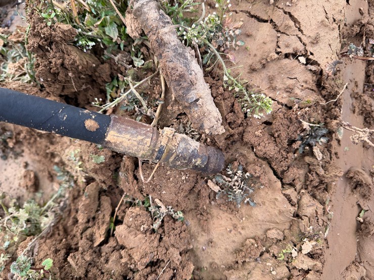 #38716-•-reynolds-8cf-dirt-pan-image-27