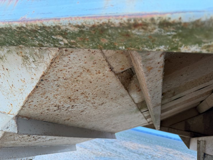 1994-cps-bottom-image-17