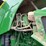 #38653-•-2017-john-deere-8270r-mfwd-tractor-image-51