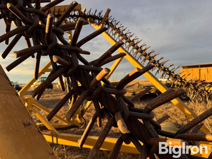 phillips-4305-image-9