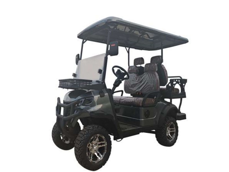 2025-unused-sdlgc80-60v-electric-golf-cart-image-4