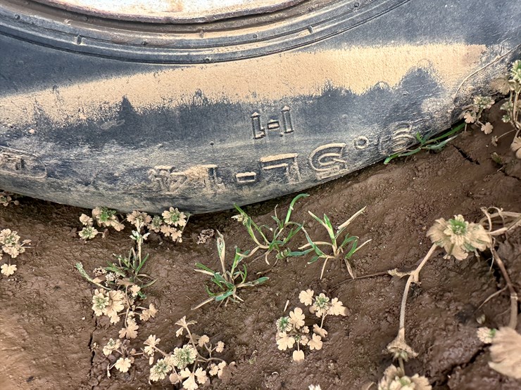 #38722-•-26'-disk-image-5