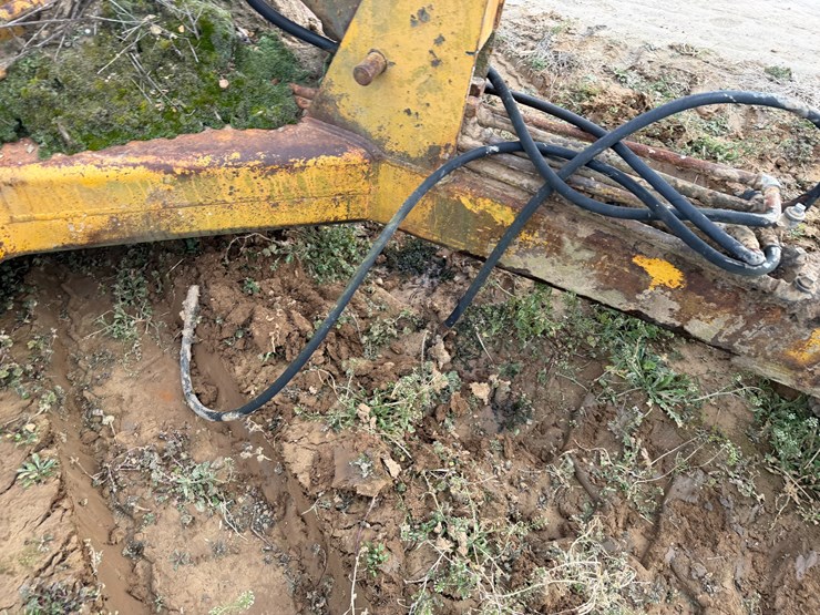 #38716-•-reynolds-8cf-dirt-pan-image-25