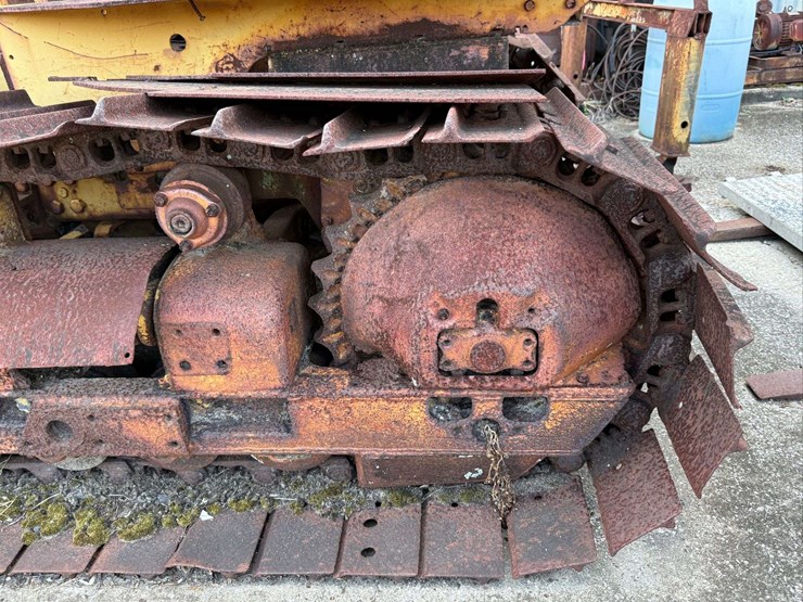 international-crawler-image-21