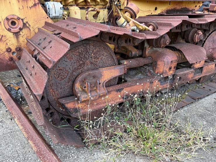 international-crawler-image-19