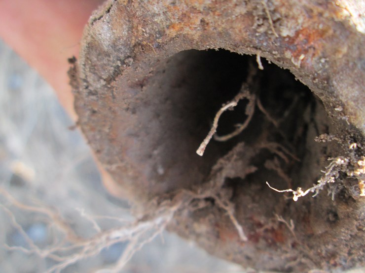 bush-hog-sm60-image-16