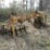 #27361-•-levee-plow-image-2