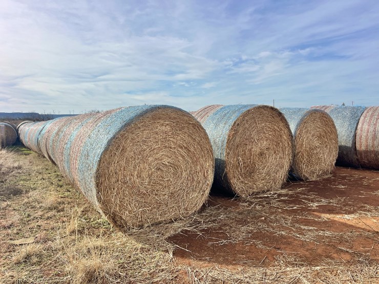 (10)-2025-baled-5x5-haygrazer-/-sorghum-grass-mix-round-bales-image-1