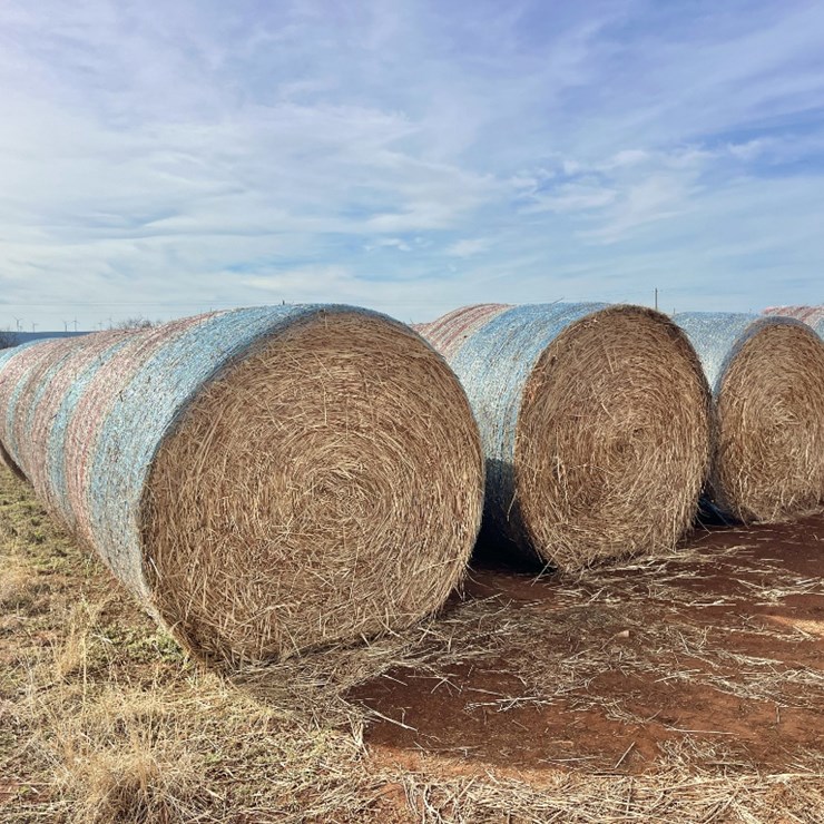 (10) 2025 BALED 5x5 HAYGRAZER / SORGHUM GRASS MIX ROUND BALES