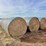 (10)-2025-baled-5x5-haygrazer-/-sorghum-grass-mix-round-bales-image-1