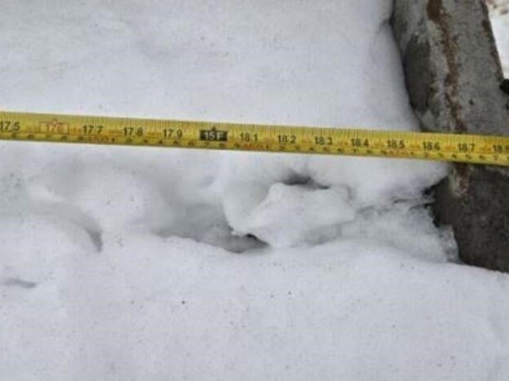 2000-gomaco-gt3600-image-34