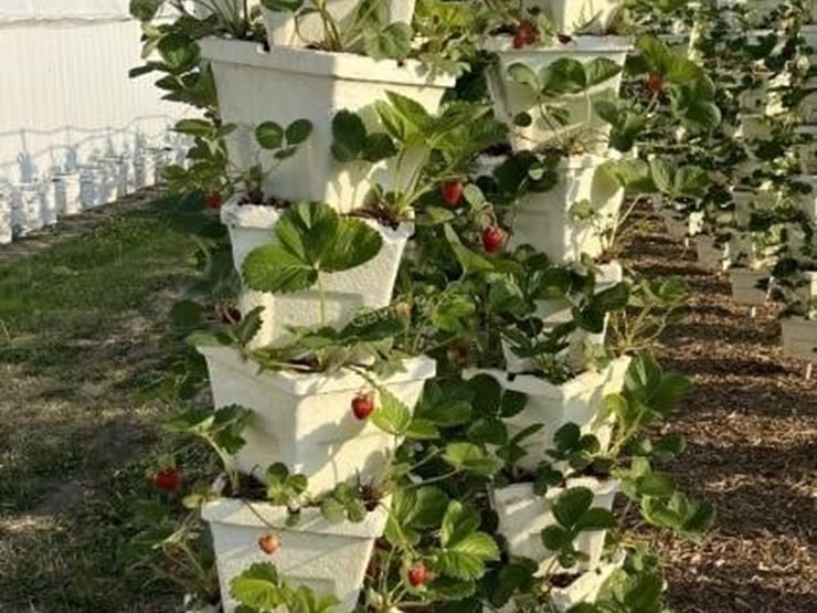(65)-vertical-planting-towers---offsite-image-1