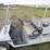 club-car-carryall-6-image-5