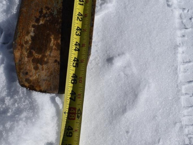 2009-hyster-h80ft-image-18