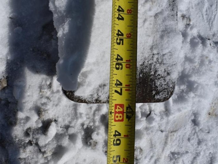 2015-moffett-m50-image-15