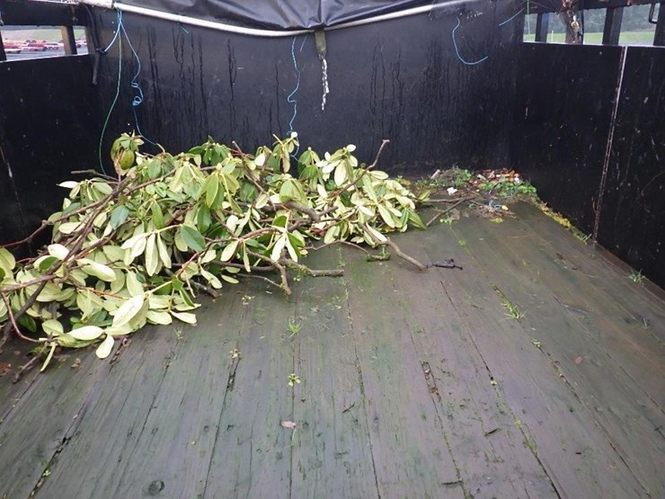 2011-ford-f450-image-9