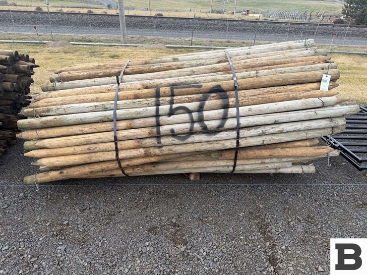 8'-pressure-treated-posts-image-1