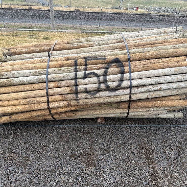 8' Pressure Treated Posts