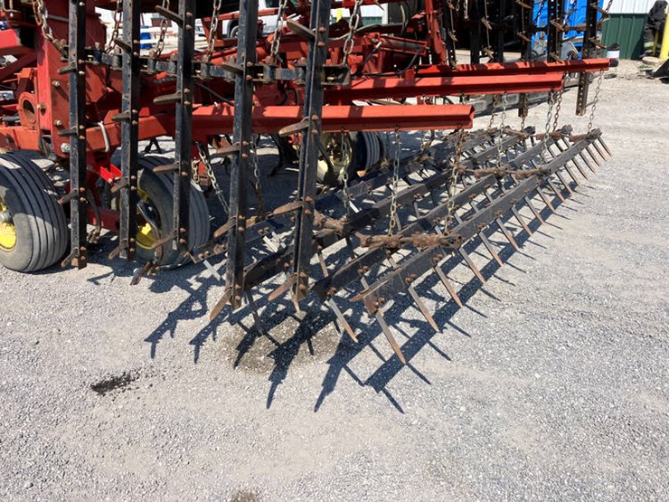 sunflower-5452-image-3