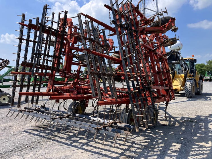 sunflower-5452-image-4