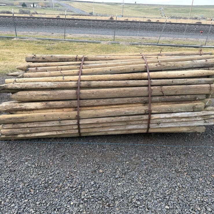 8' Pressure Treated Posts