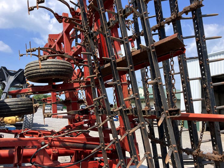 sunflower-5452-image-6