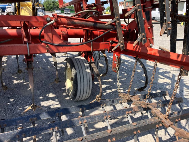 sunflower-5452-image-10