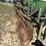 john-deere-4020-image-28