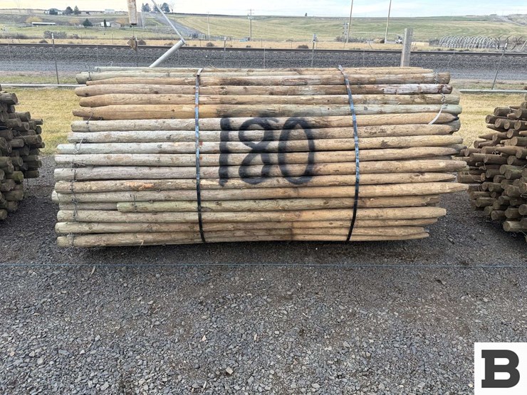 8'-pressure-treated-posts-image-1