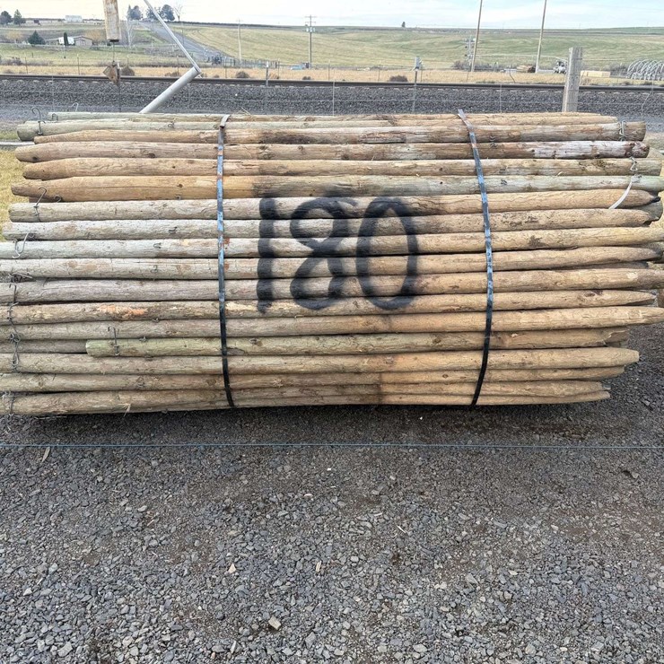 8' Pressure Treated Posts