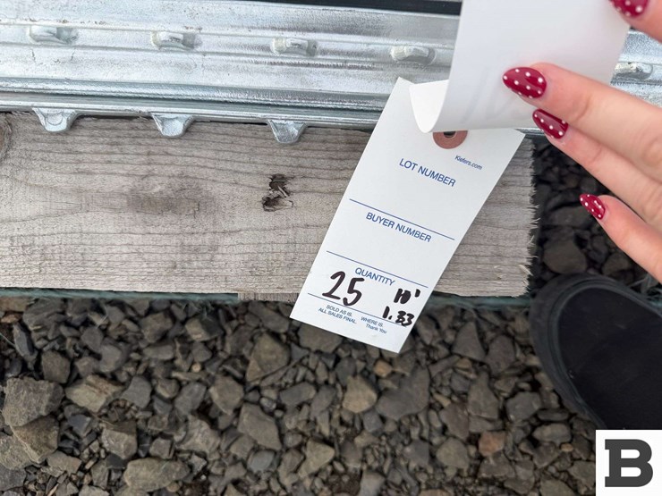 10'-galvanized-t-posts-image-4