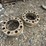 skid-steer-wheel-spacers-image-4