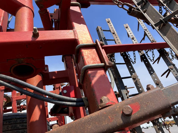 sunflower-5452-image-24