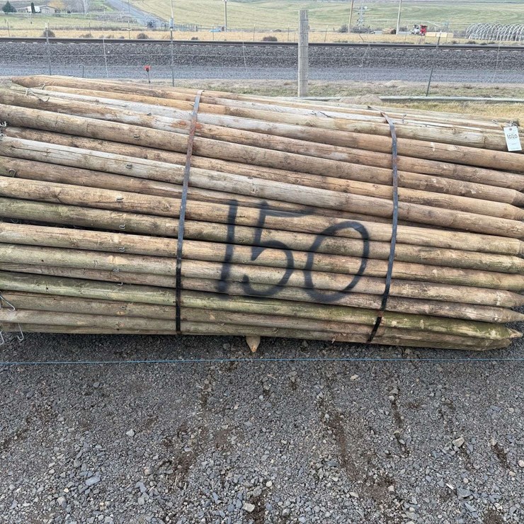 8' Pressure Treated Posts