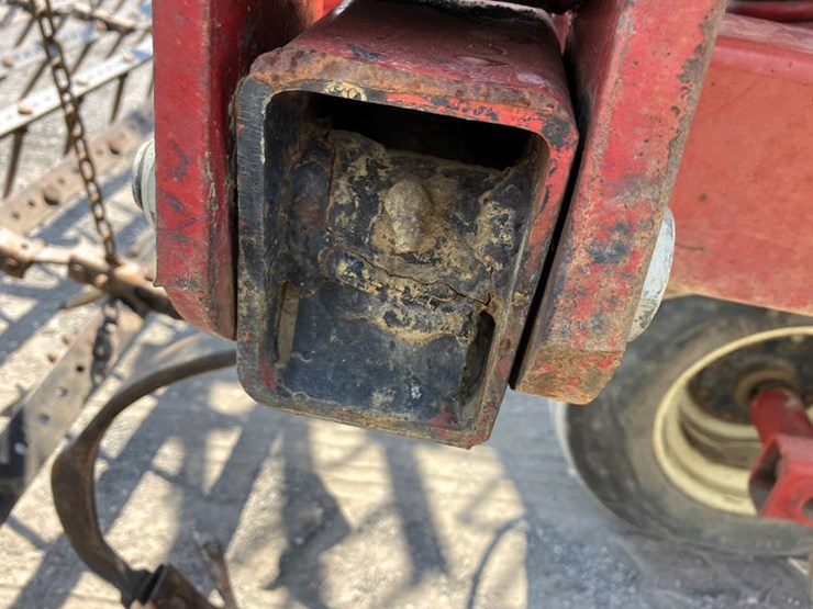 sunflower-5452-image-32