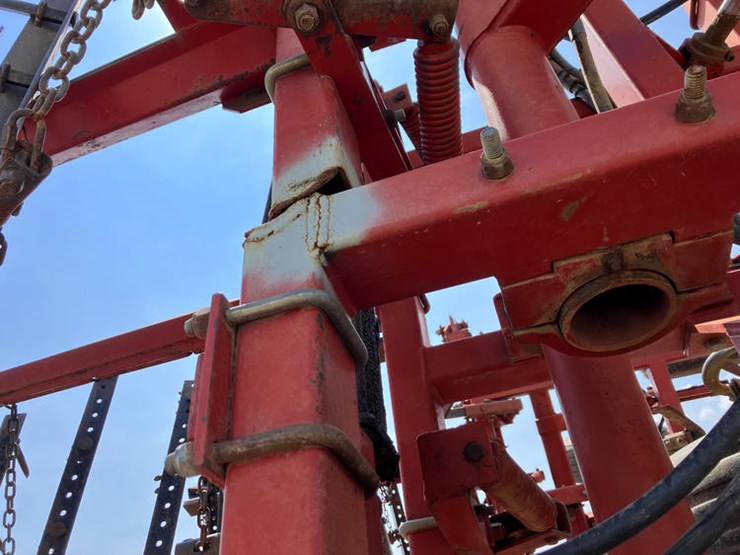 sunflower-5452-image-20