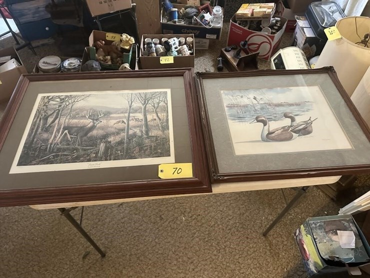 wildlife-framed-portraits-image-1