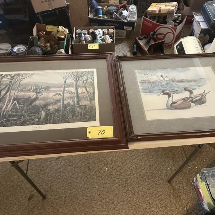 Wildlife Framed Portraits