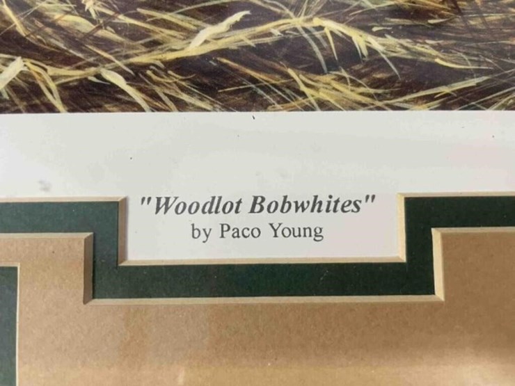 3-framed-quail-prints-image-10